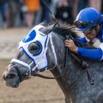 Six Key Trends to Know When Betting the 2025 Travers Stakes